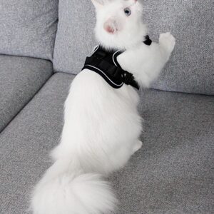 CatRomance anti-escape cat harness and leash set - CatRomance