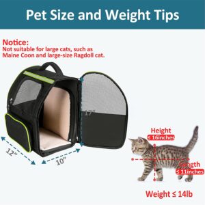 https://catromance.com/wp-content/uploads/2018/06/JOYO-Cat-Carrier-Backpack-2-300x300.jpg