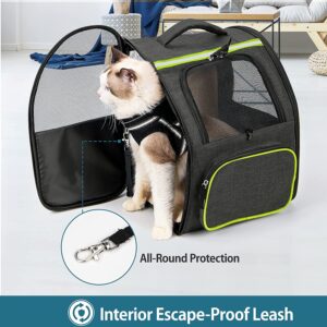 https://catromance.com/wp-content/uploads/2018/06/JOYO-Cat-Carrier-Backpack-6-300x300.jpg