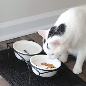 https://catromance.com/wp-content/uploads/2018/06/joyo-cat-bowls-1-300x300.jpg