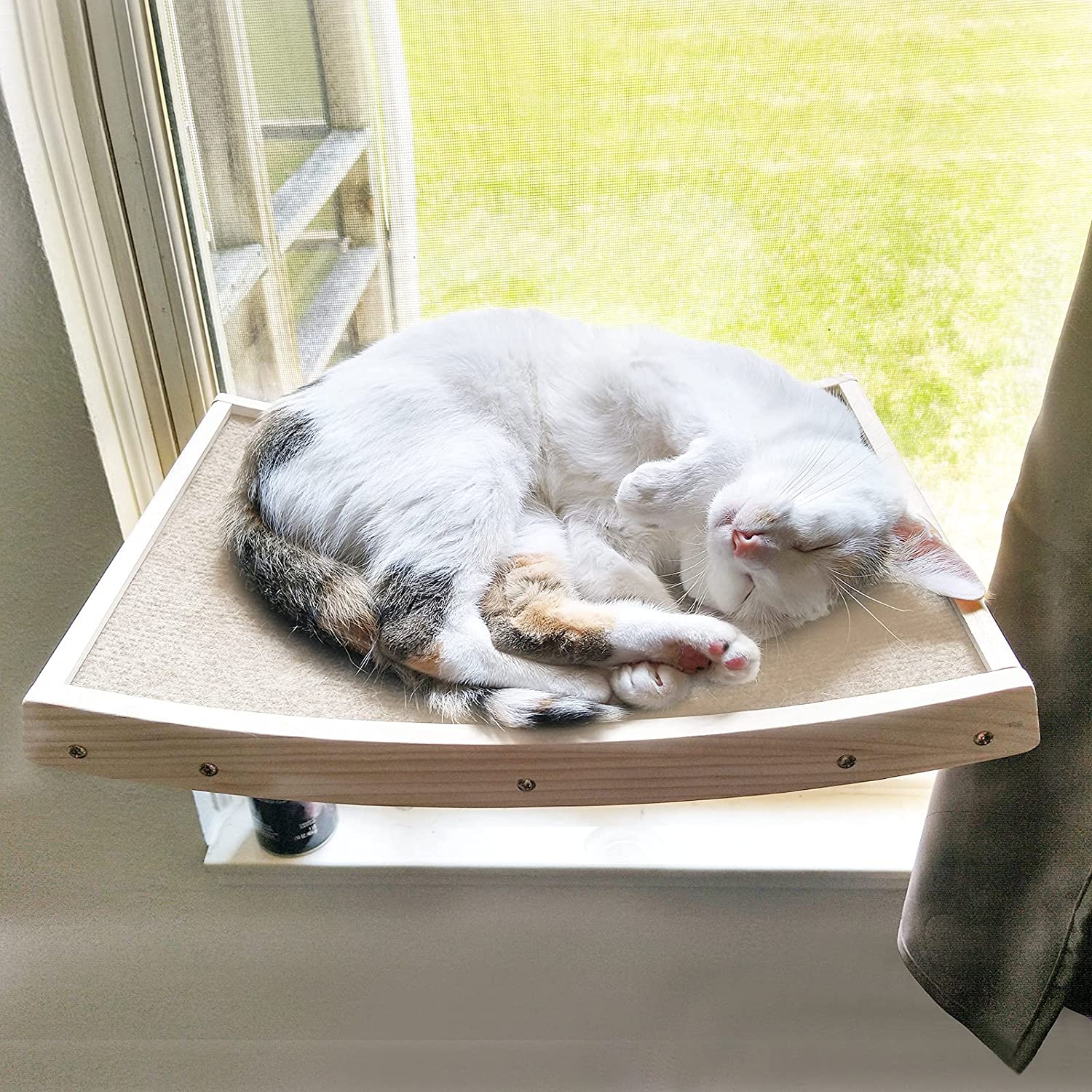 https://catromance.com/wp-content/uploads/2018/06/joyo-cat-window-perch.jpg