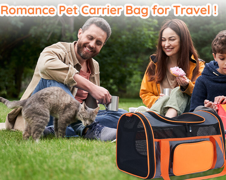 CatRomance Cat Carrier for travel